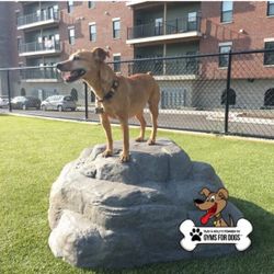 Large - Luxury Dog Park Climbing Boulder (Commercial Grade) Pick Up Only (Large)