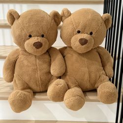 XL Teddy Bear 🧸