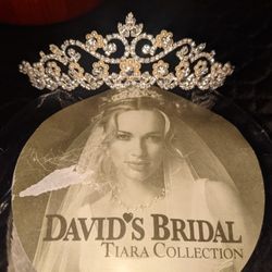 David's Bridal Tiara