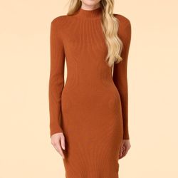 Versona Brown Hue Bodycon Mock Neck Dress
