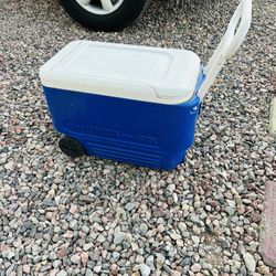 Camping Cooler 