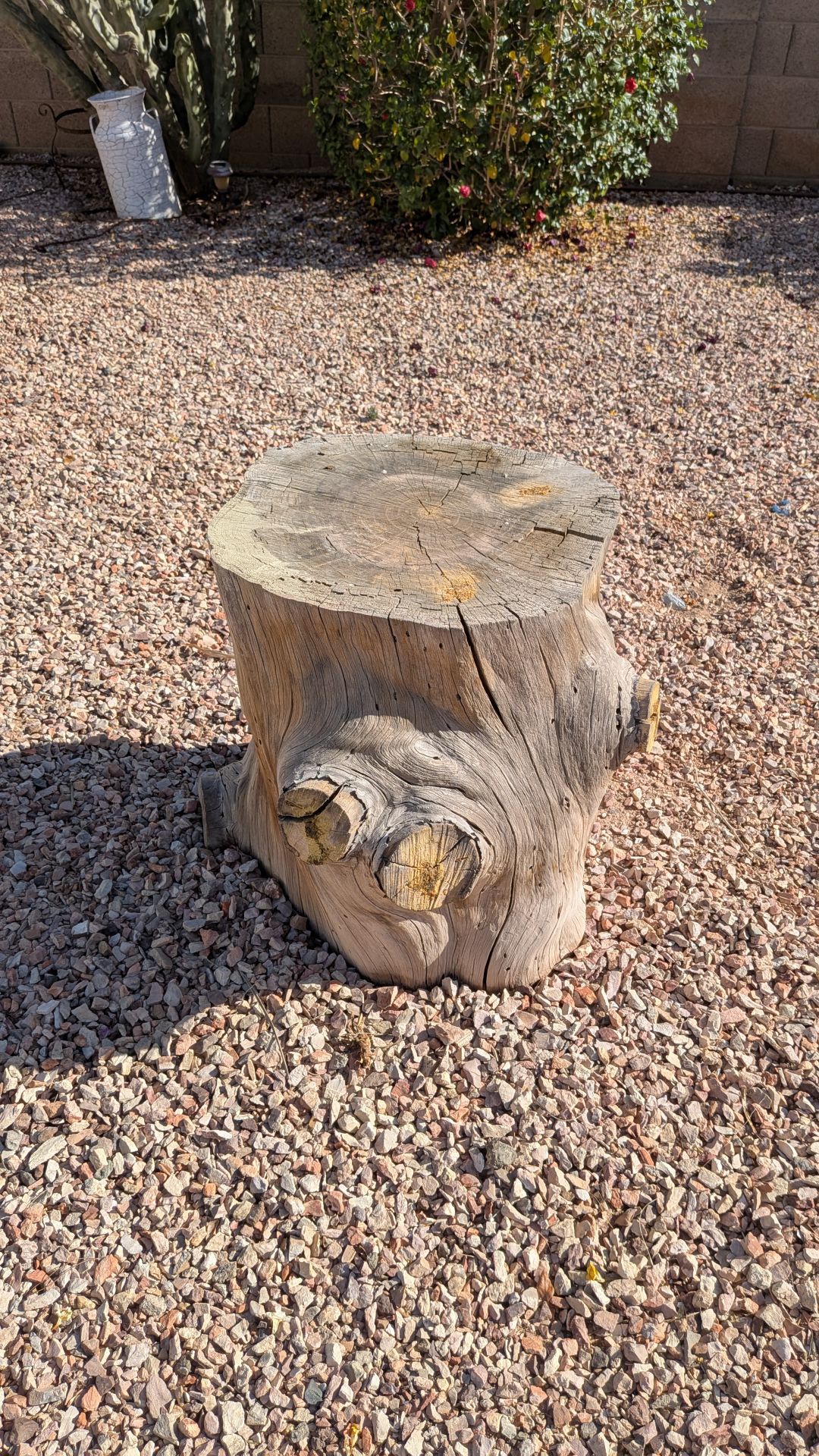 Wood Stumps