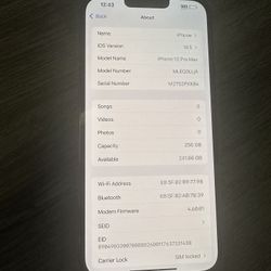 iPhone 13 Pro Max 256 gb AT&T cricket only 