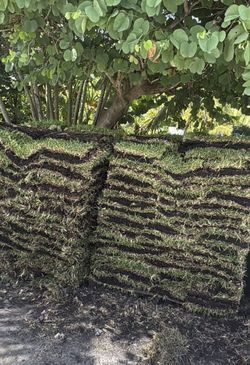 St Agustin Sod pallets