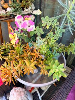 Beautiful Vibrant mix of succulents and artificial” fake flowers” in a decorative M pot. Just $25.