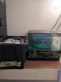 Fish Tank