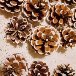 🌲✨ Handcrafted Pinecones for Sale