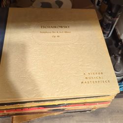 Vinyl Record Collection 