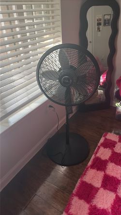 Fan
