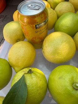 Juice big lemon 20 x $5.00 dls