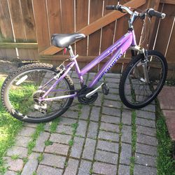 Purple Schwinn Traverse 16 Inch Girls Bike