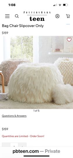 Pottery Barn Bean Bag