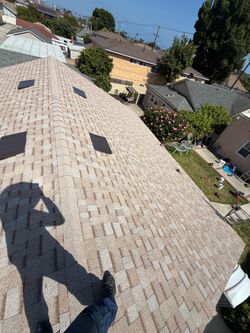 Roofing shingles