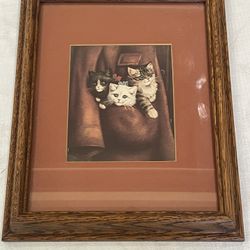 Framed print of three cats kittens 11.5”x 9.5” Including Frame
