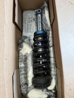 Raptor Shocks 
