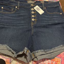 Torrid Shorts