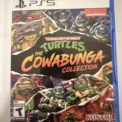 Teenage Mutant Ninja Turtles The Cowabunga Collection Ps5