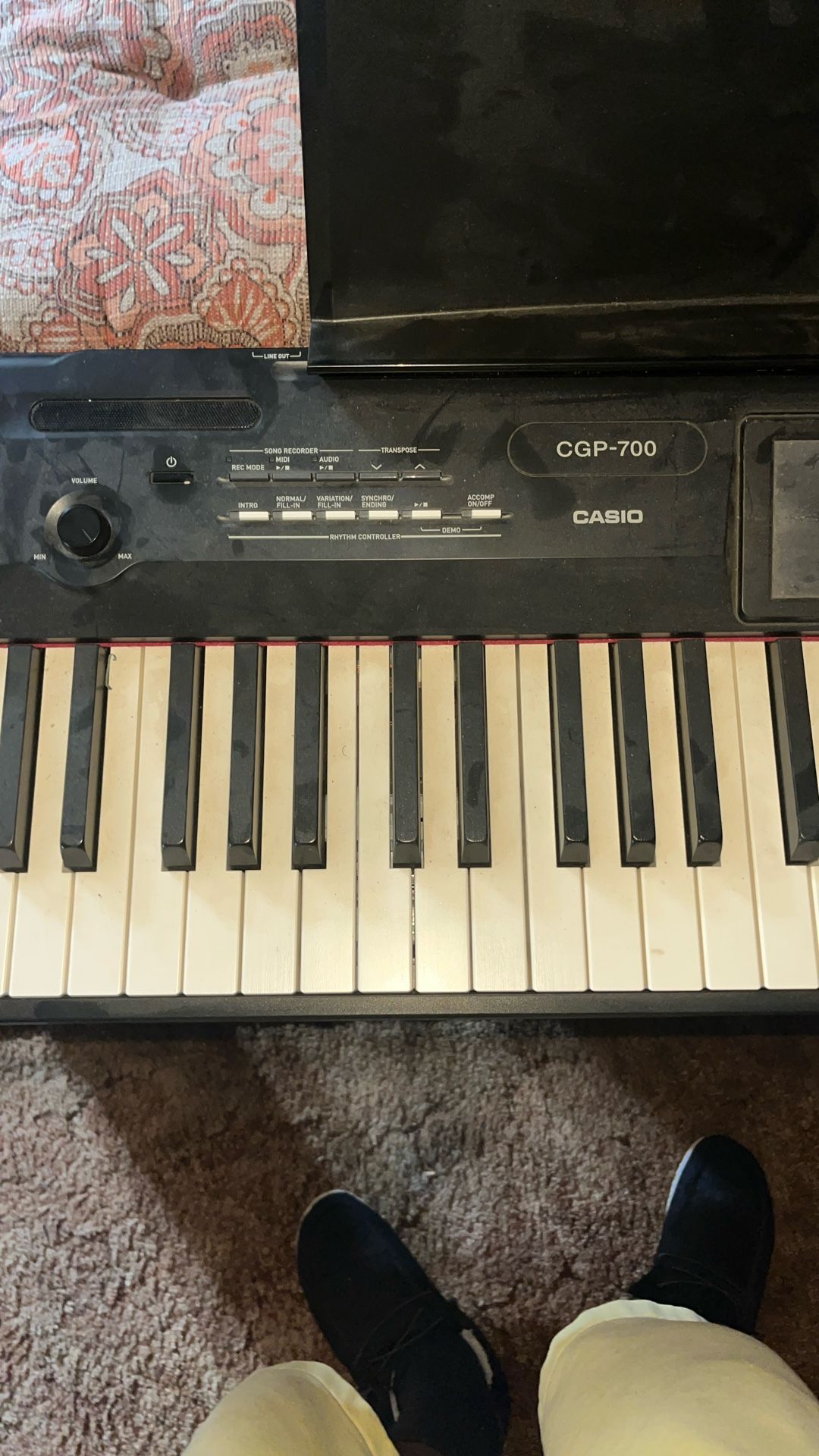 Casio cgp700bk 88 Key Digital Grand Piano With Color Touch Screen Display
