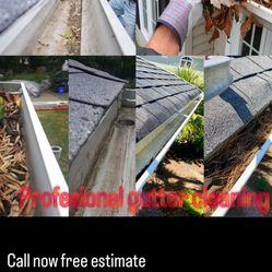 Profesional Gutter Cleaning