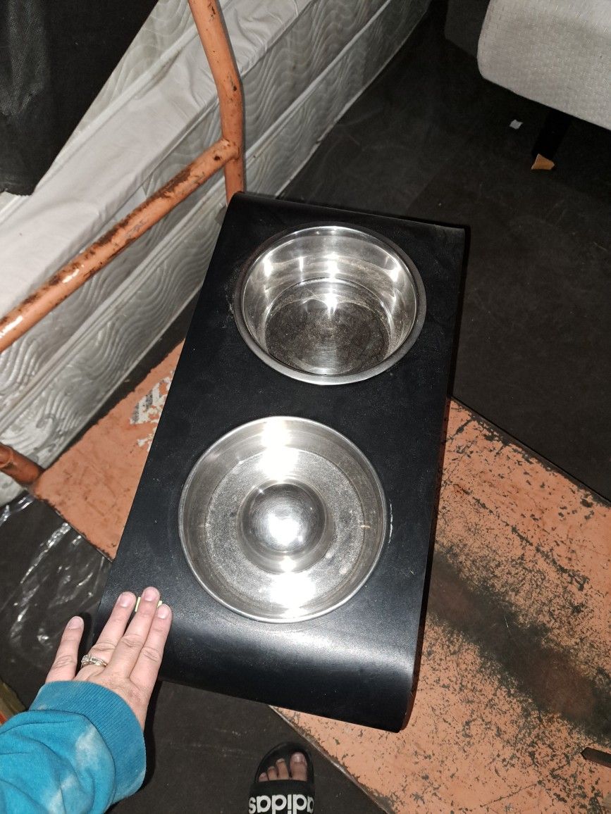Dog Water And Food Bowl Lifted 