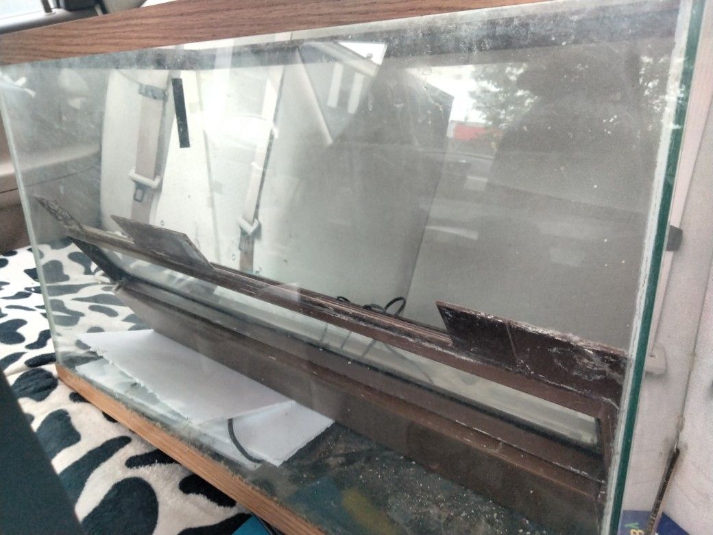 Fish Tank