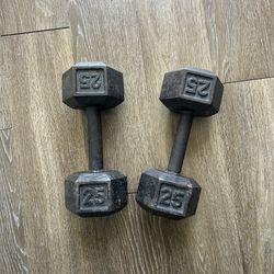 25 pound dumbbells