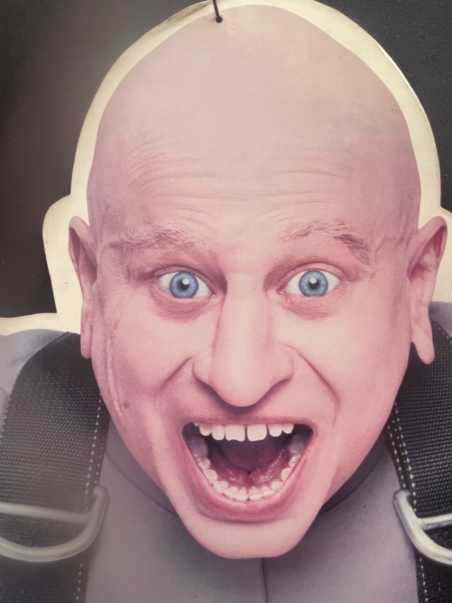 Mini Me Cut Out