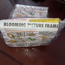 3/$10 ⭐ NEW Home Depot Kids Workshop Blooming Picture Frame May 2024 Project
