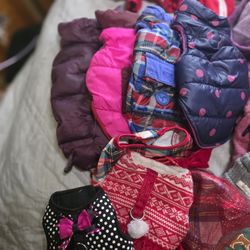 Female Dog Clothes Xsmall & Xxsmall