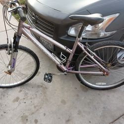 Mountain bike