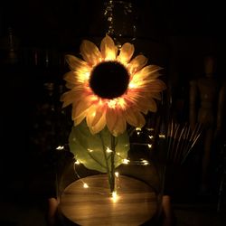 New Sunflower in Dome