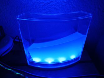 Gel Ant Farm 