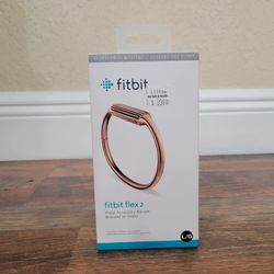 Fitbit Flex 2 Metal Bangle (Large)