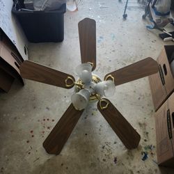Ceiling Fan - $10