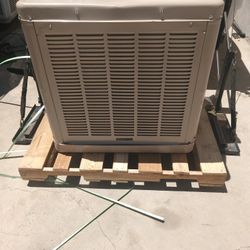 Swamp Cooler Champion 