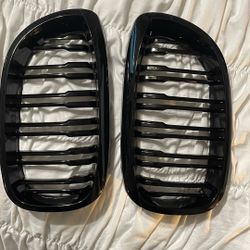 BMW Kidney Grill Set