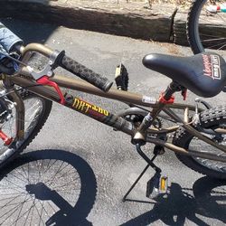 Mongoose 20in Bike 