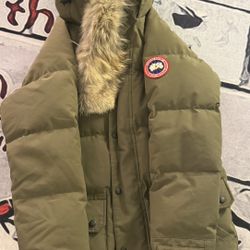 Small green Canada Goose