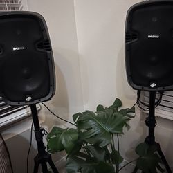 Speakers With Stand And Microphone 