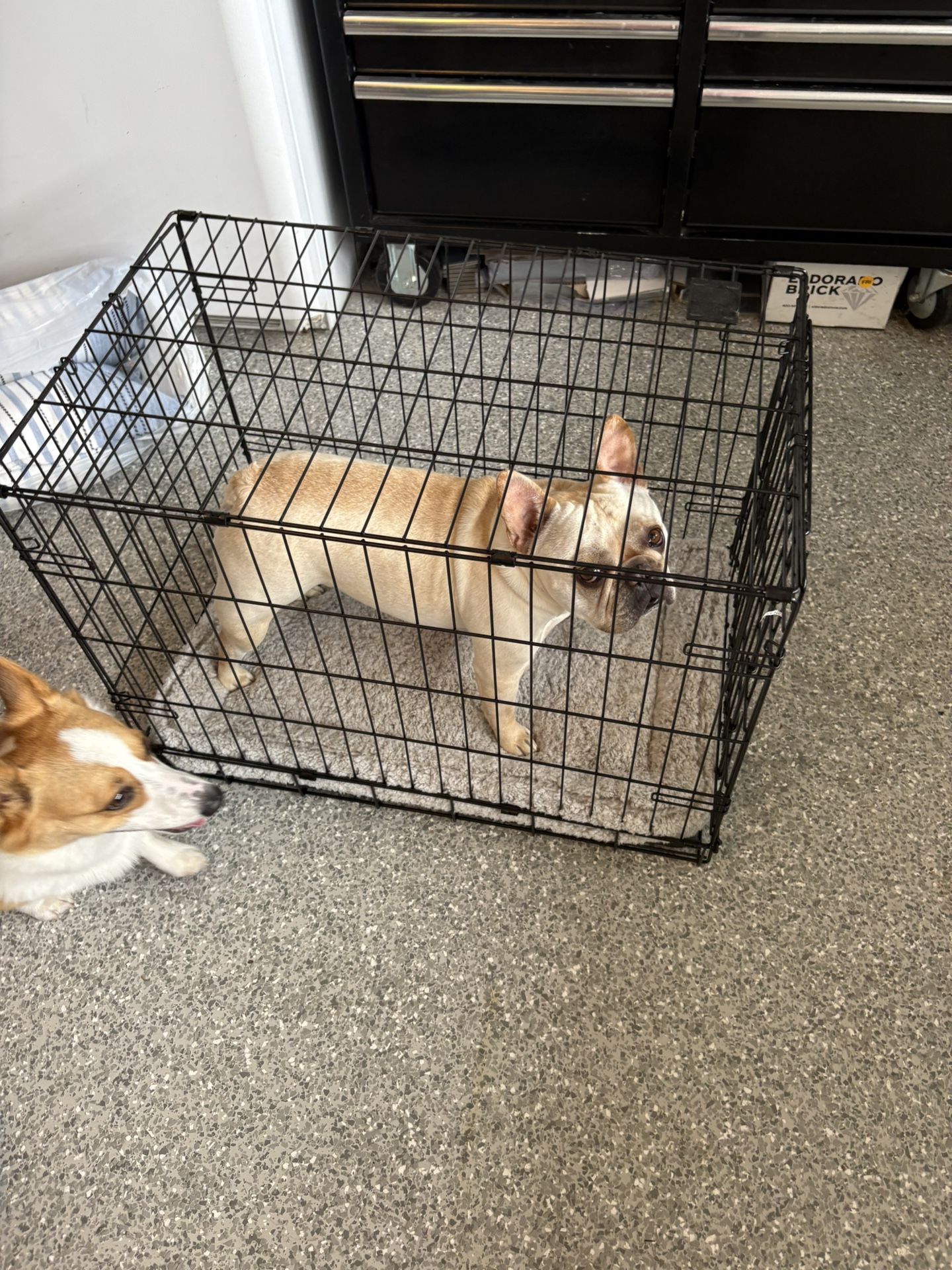 Small/medium Dog Crate