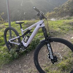 Custom Levo SL 2025 S3