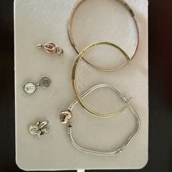 Pandora Charms And Bracelets 