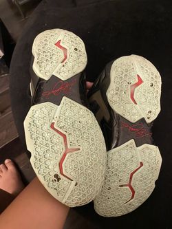 Lebron 11 kings pride