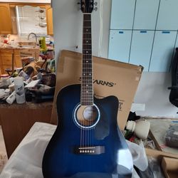 Acoustic Electric Guitar
