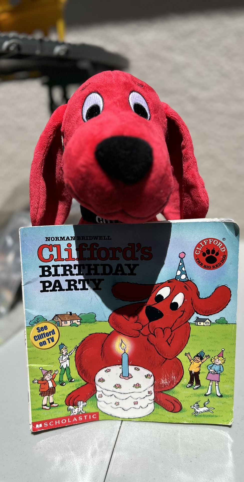 Clifford Book And Plush Toy 