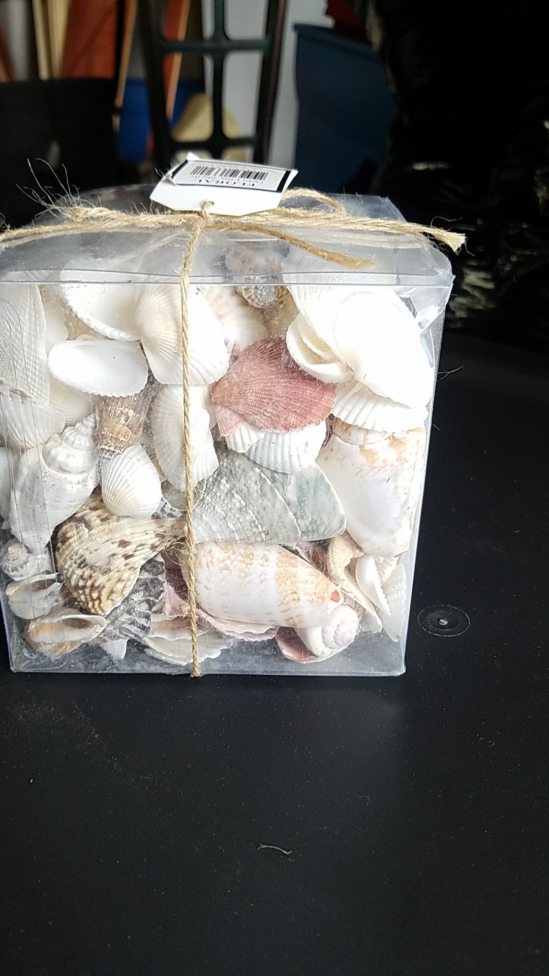 Decorative Shells