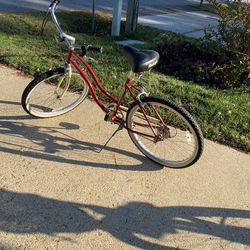 Raleigh. 26 Inch Beach cruiser.