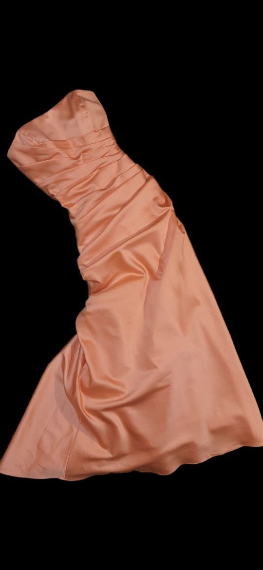 Coral David's Bridal Gown