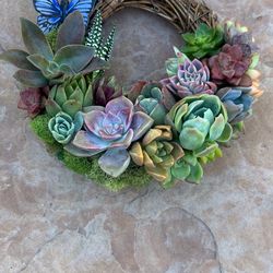 7” Perfect Little Pastel Living Wreath