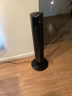 Fan